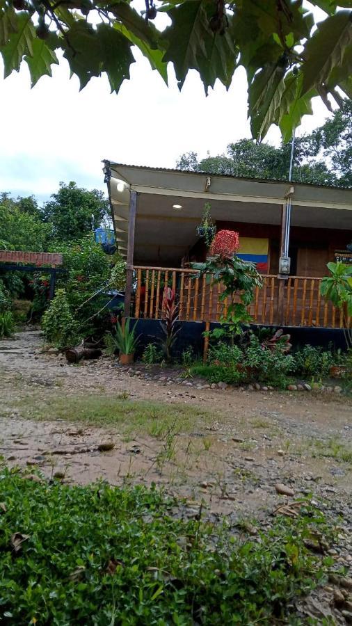 Hostal Cano Nevera La Macarena Esterno foto